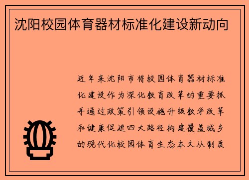 沈阳校园体育器材标准化建设新动向